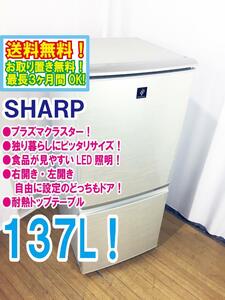 送料無料★極上超美品 中古★SHARP 137L「プラズマクラスター搭載!!」＆「ナノ低温脱臭触媒」冷蔵庫【SJ-PD14T-N】DGTA