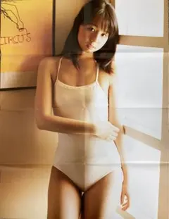 小池里奈 ポスター 2011年