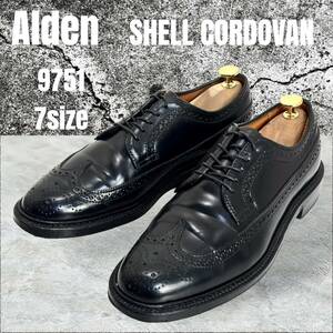 現行品☆極美品☆ALDEN Long Wing オールデン ロングウィング シェルコードバン 9751 7D 黒 Barrie バリーラスト ブラック Shell Cordovan