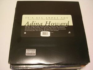 ●R&B 12”●ADINA HOWARD / IT