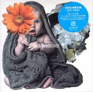 DOES 　INNOCENCE(初回生産限定盤)(DVD付) 紙ジャケット仕様！バンド史上最高傑作アルバムが出来たとメンバー自負しています！送料無料！