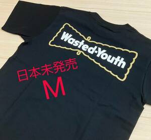 日本未発売 極少 即発送 Wasted Youth Hagen-Dazs Logo S/S Tee Black ハーゲンダッツ ロゴ ショートスリーブ ティー Tシャツ 半袖 メンズ