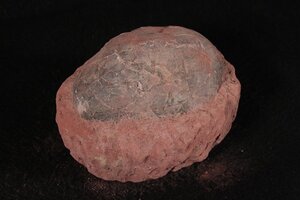 ☆昇藤☆約6500万年前　中国　ハドロサウルスのたまご　重量約3112ｇ　（検）化石 恐竜 中国美術 古玩