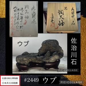 【信濃美術石博物館】 水石 盆栽 佐治川石 『洞天岫』桐箱付 780g ウブ 骨董盆石古美術鑑賞石観賞石太湖石中国古玩 2449