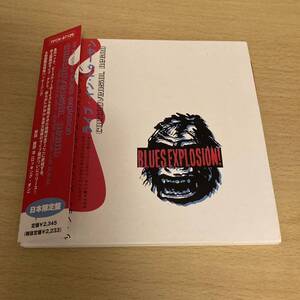 ジョン・スペンサー・ブルース・エクスプロージョン/ The Jon Spencer Blues Explosion /コントロヴァーシャル・ニグロ