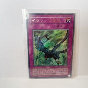 遊戯王　美品　イタクァの暴風