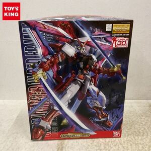 1円〜 MG 1/100 機動戦士ガンダムSEED DESTINY ASTRAY ガンダムアストレイレッドフレーム改