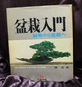 盆栽入門　鉢物から盆栽へ　 文研出版　西良佑　1971年　第6刷　　