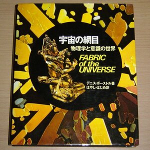 宇宙の網目 物理学と意識の世界 デニス・ポーストル 白揚社 1983