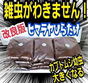 カブトムシ幼虫が大きくなる！改良版☆ヒマラヤひらたけ発酵マット【６袋】　産卵にも抜群　栄養添加剤配合！ギネスサイズ羽化実積多数あり