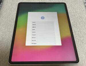 【使用頻度低/美品】 iPad Pro 12.9インチ 256GB 第3世代 Wi-Fiモデル シルバー A1876