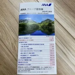 ANA 全日空グループ優待券