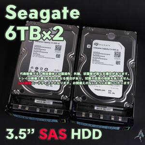 【SGsas6T-a19/a20(t)】Seagate 3.5インチHDD(SAS) 6TB ST6000NM0105 SAS接続 トレイ付き【2台セット/動作中古品/送料込み/フリマ購入可】