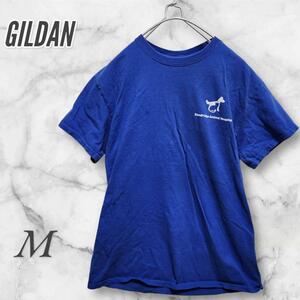 GILDAN ギルダン Tシャツ/カットソー 半袖　青 M 古着　コットン　ラフ 　2140