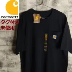 タグ付き未使用 Carhartt カーハート Tシャツ ロゴ刺繍 TS-49