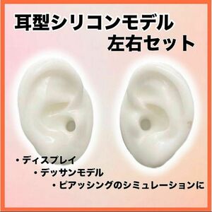 耳型模型　シリコン　左右両耳セット　ピアス　ディスプレイ　練習用　モデル　ホワイト　白 両耳　マネキン