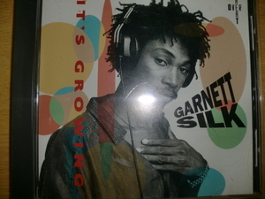 美品 Garnett Silk [It