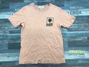 H&M エイチアンドエム メンズ ハワイ ヤシの木 プリント 薄手 半袖Tシャツ S ピンク