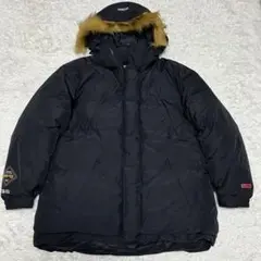 supreme GORE-TEX 700-Fill Down Parka