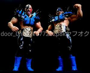 WWF WWE THE ROAD WARRIORS HAWK & ANIMAL ACTION FIGURE ロードウォリアーズ アニマル＆ホーク ブルーカラーver. アクションフィギュア
