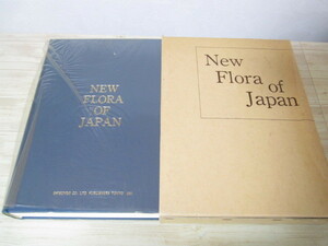 AA045◆新日本植物誌 シダ篇 中池敏之◆至文堂 1982年◆マツバラン科 トクサ科 ヒカゲノカズラ科イワヒバ科ミズニラ科