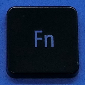 キーボード キートップ Fn 黒消 パソコン NEC LAVIE ラヴィ ボタン スイッチ PC部品