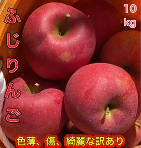 1円スタート　山形県産　ふじりんご　10kg 家庭用　送料激安