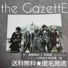 the GazettE【FC通販限定 】特典大判写真 1枚【2005年】