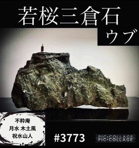 【信濃美術石博物館】 水石 若桜三倉石 ウブ 横37×高18×奥行11(cm)8.58kg 盆栽骨董盆石鑑賞石観賞石太湖石古美術 3773