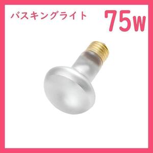 75W★バスキングライト1個(爬虫類ライト)タイトビームB0051