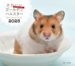 2025年カレンダー かわいいゴールデンハムスター (誠文堂新光社カレンダー)