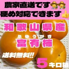 キレイめ✴︎農家直送！富有柿　５キロ　甘柿　柿　persimmon 和歌山県産