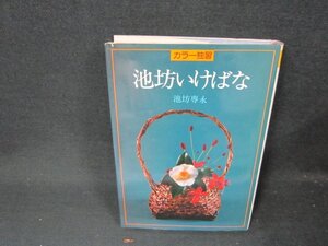 カラー独習　池坊いけばな　池坊専永　シミ有/BDT