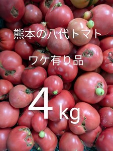 熊本の八代トマトワケ有り品４kg