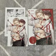 キスは番にひざまずく　エヌオカヨチ　BL マンガ　特典　セット　アニメイト