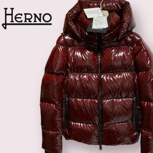 HERNO ヘルノ 撥水 防風 フーデッド 軽量 ライトダウンジャケット 40 レディース