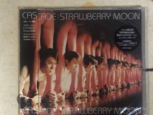 ★非売品★未開封★CD　カスケード／CASCADE「STRAWBERRY NOON」 見本盤 　promo only japan mint sample rea