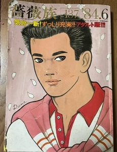 薔薇族 ばらぞく 1984年6月号 No.137 ゲイコミック 第二書房　昭和59年6月1日発行 LGBT ゲイ雑誌