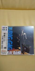 The Big Gig/甲斐バンド