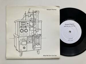 EP RICHARD THOMAS / WHAT MY EARS CAN SEE / LEAF