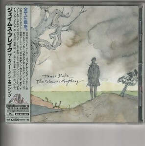 国内盤 JAMES BLAKE「THE COLOUR IN ANYTHING」ジェイムスブレイク