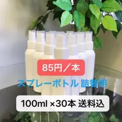 スプレーボトル 100ml 詰替ボトル  空容器　新品未使用 30本(送料込)