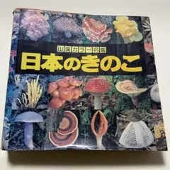 山渓カラー名鑑 日本のきのこ 山と渓谷社