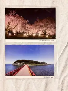 福井県坂井市　夜桜と海の島の風景 ポストカード 2枚セット