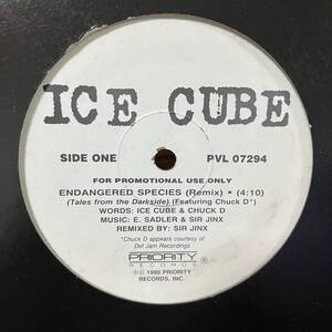 ICE CUBE CHUCK D ENDANGERED SPECIES REMIX