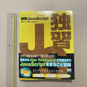 【送料無料】書籍　独習JavaScript