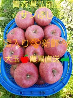 青森県産りんご　サンふじ大玉　家庭用