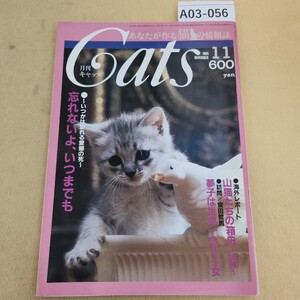 A03-056 月刊 Cats キャッツ 1985年 11月号 シミ汚れ有り