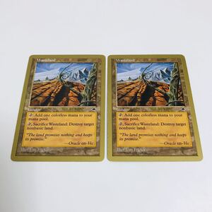 【中古品】MTG 不毛の大地 Wasteland 金枠 英語版 2枚セット