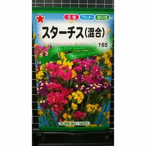 スターチス 混合 ３袋セット 種 郵便は送料無料
